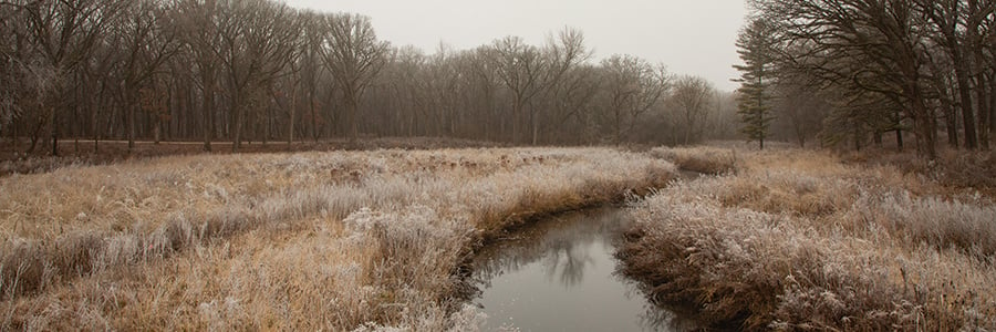 winter-scene