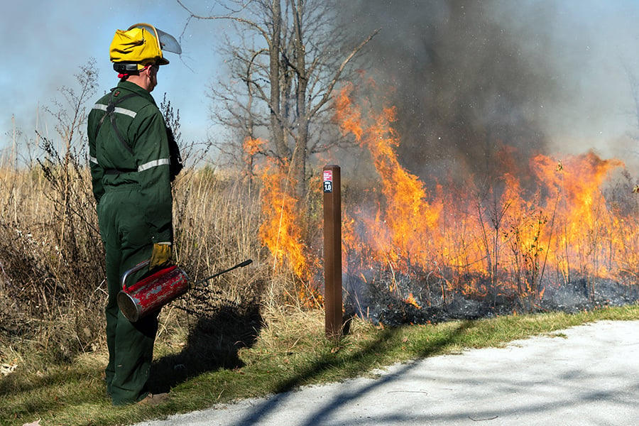 prescribed-fire-900x600-150-2