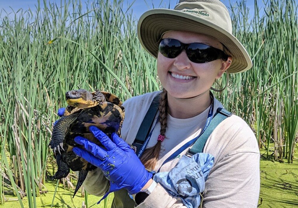 willowbrook wildlife center internship